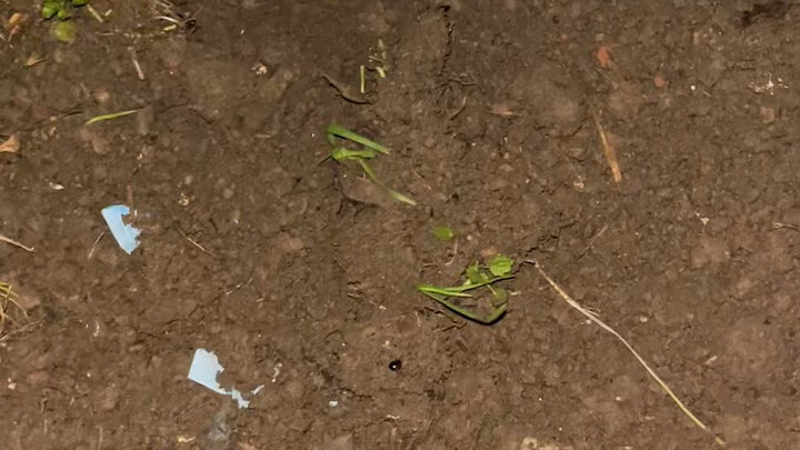 ทำไมถึงรู้สึกเศร้าไปหมดเลยนะ?