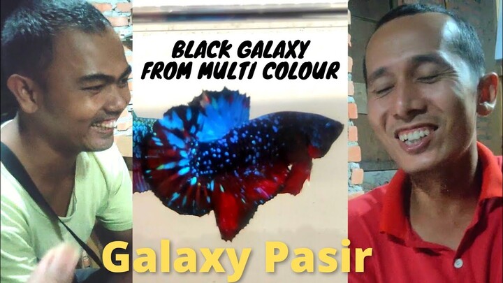Black Galaxy dari line Multi Colour over galaxy, awalnya om niko ragu,akhirnya percaya dan merinding