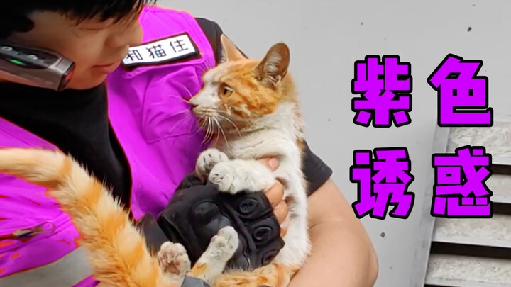 แมวที่ไม่ยอมให้เกียรติพนักงานดับเพลิง 11 คน กลับถูกแรงดึงดูดสีม่วงจัดการจนอยู่หมัด!