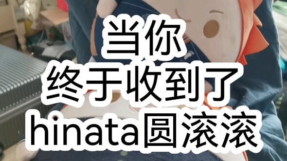 《当你终于收到了hinata圆滚滚》