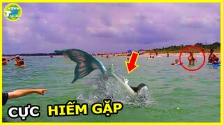 7 Nơi Bạn Có Thể Bắt Gặp Nàng Tiên Cá Có Thật Ngoài Đời Thực....Rồi Sau Đó Chuyện Này Xảy Ra