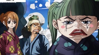 Bí mật về Chín Bao Kiếm Đỏ và Trái SMILE __ Zoro và Sanji chạm mặt [One Piece Ch