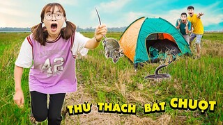 Thử Thách Đi Bắt Chuột Và Cắm Trại Ở Ngoài Đồng Hoang - Hà Sam