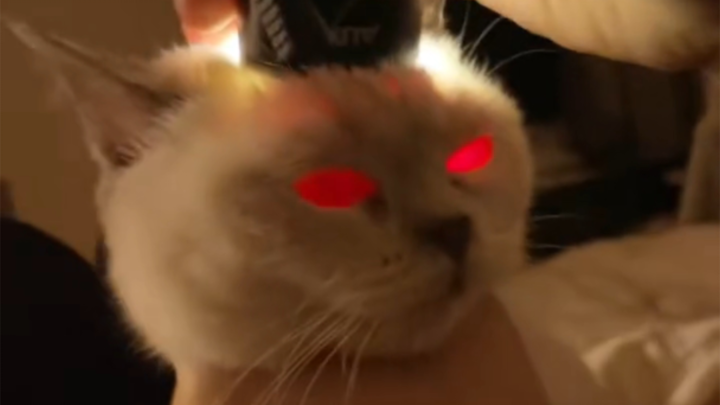 The Elemental Devourer has awakened