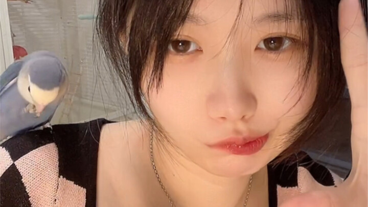 ใครจะไปปฏิเสธลูกไก่น้อยที่คอยช่วยแทะแผลร้อนในให้ได้ล่ะ วันนี้มาแต่งฉากให้ไก่ทอดกรอบกัน!