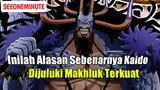 Inilah Alasan Dibalik Title Makhluk Terkuat Milik Kaido || One Piece