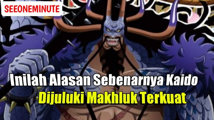 Inilah Alasan Dibalik Title Makhluk Terkuat Milik Kaido || One Piece