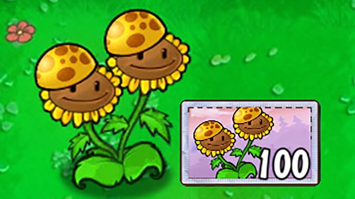 New Plant: Twin Sunshine Sunflower
