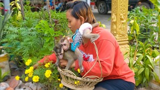 Take out little Toto & Yaya visit around the house for refreshing