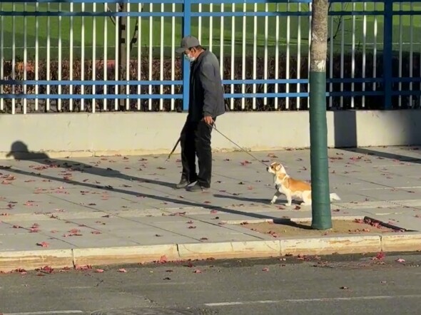 狗：自己的老头自己宠