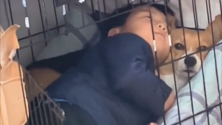 Dog: Is this all the personal space I get?