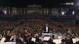 Coffin Dance Song Astronomia In Vienna By Professional Orchestra
