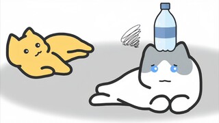 "Những chú mèo thú vị đến từ cuộc sống"
