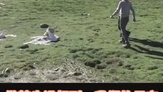 要不是亲眼看见，我绝对不相信这是黄河的源头