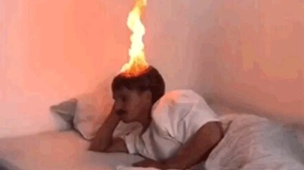 Chú chó: Người phía trước đừng kéo nữa, tôi đi rồi đây