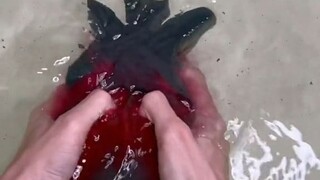 It's a sponge blind box you've never seen before! Let's guess—will the water squeezed out be green o