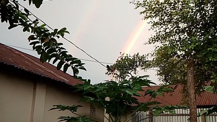 রংধনু উঠেছে