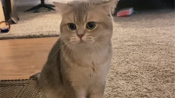 Kazuto: Semua yang kamu bilang bener, tapi aku nggak mau denger—aku justru bakal teriak lebih kencan