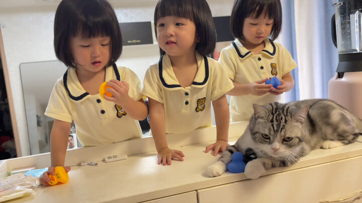 Reading old poems while playing with the cat—how desperate must this kitty be to have to put up with