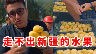 Fruit that you can't find outside Xinjiang: "Tang Bao Zi" — only 2 yuan each! Sweet, juicy, and with