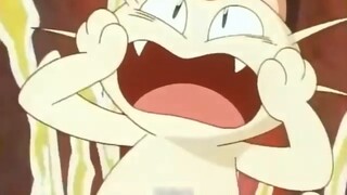 Maybe Meow Meow has been around people for too long and has forgotten that he is a Pokémon!