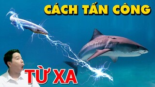 9 Động Vật Bắn Chất Độc Tàn Bạo Nhất Trong Giới Tự Nhiên👉  Con Người Cần Tránh Xa