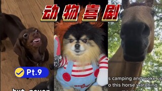 🐴动物喜剧 Pt.9 【我的宠物🦆第一次游泳】🐶