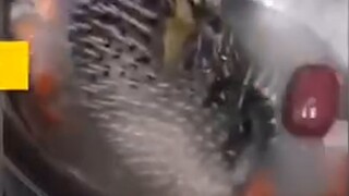هذا هو أعلى مستوى من الطبخ!