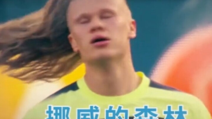 Erling Haaland – “Ha Bao” đã có bản hành khúc riêng của mình, “Khu rừng Na Uy”, và những quảng cáo đ