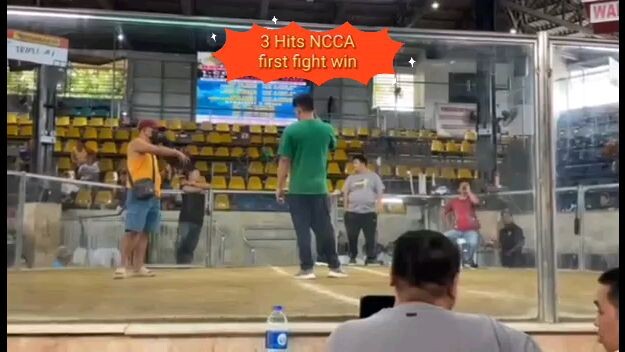 3 HITS ULUTAN NCCA FIRST FIGHT WIN ALLEN ROUND HEAD