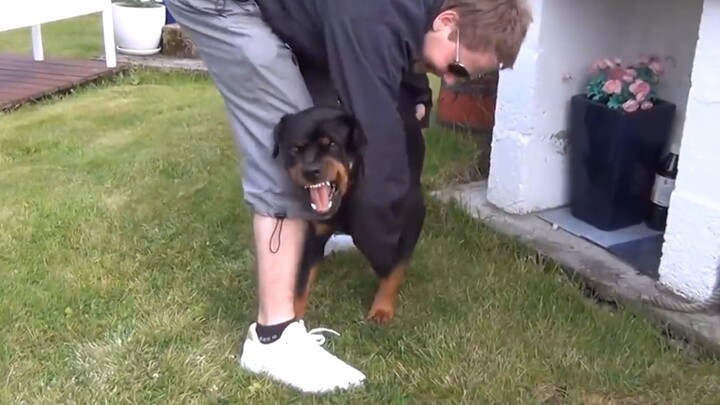 Can you do it, fine? . . Damn it!