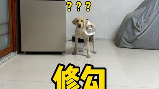 This is completely over now, my puppy.