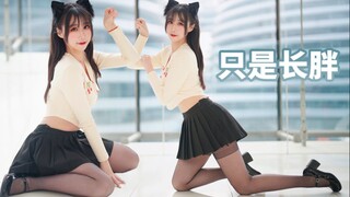 可爱又迷人的小胖猫