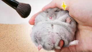 ฉันเป็นหนู แต่ขนทุกเส้นก็บอบบางเหลือเกิน