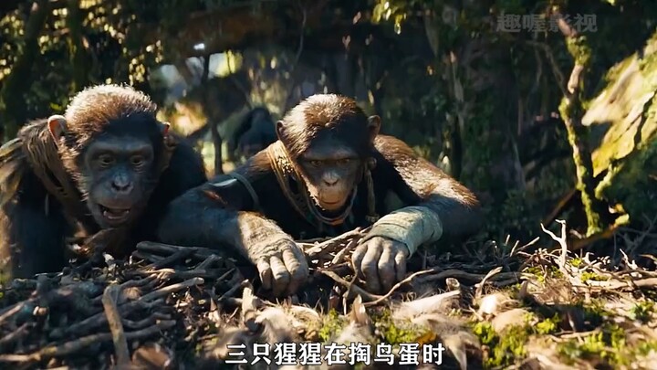 (10) While raiding bird eggs, the chimpanzee unexpectedly discovers humans #FilmReview #RiseOfThePla