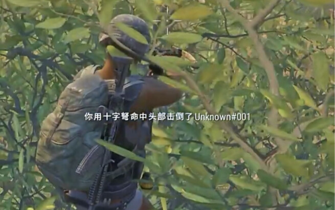 لاو ليو الذي أصبح واحدًا مع الشجرة!!