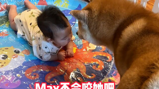 Chó nhà tôi thật sự rất thương con gái tôi đấy.