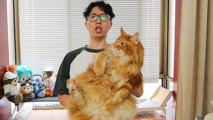 ฉันไม่อยากให้แมวที่ฉันเลี้ยงถูกคนอื่นเอาไปใช้ได้เลย!