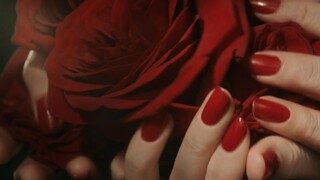 [Vật liệu cảnh quay trống | Tối] Visual Kei p2 Ngọn lửa bùng cháy, hoa anh đào, hoa cereus nở vào ba