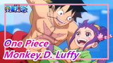 [One Piece AMV / Monkey D. Luffy] I'll Never Fall Until I Beat You!