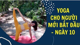 YOGA CHO NGƯỜI MỚI BẮT ĐẦU - NGÀY 10