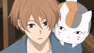 出现了，哥哥是“猫控”