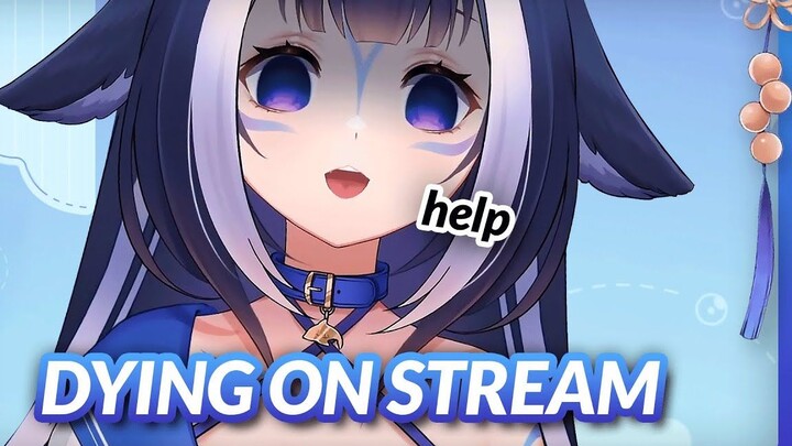 【熟肉/Shylily】莉女士发出像玩具一样的声音！