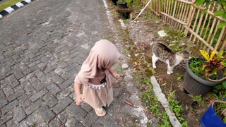 Vanilla lagi nyari kucing, kira-kira ketemu gak ya?