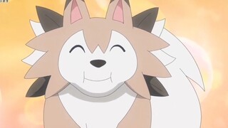 鬃岩狗人，开除狼藉！