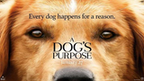A Dog's Purpose (2017) (Fantasy Family) W/ English Subtitle HD
