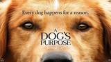 journey to the west movie online A Dog's Purpose (2017) (Fantasy Family) W/ English Subtitle HD