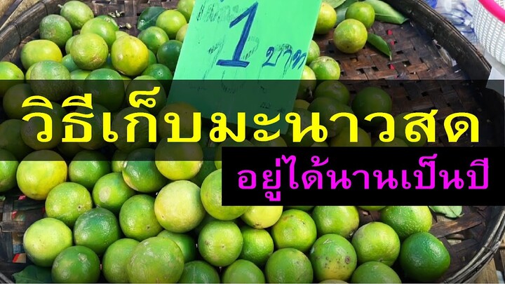 3 วิธีเก็บมะนาวให้สดอยู่ได้นานเป็นปี ทำแบบนี้ไม่เน่าไม่เสีย เคล็ดลับง่ายๆ