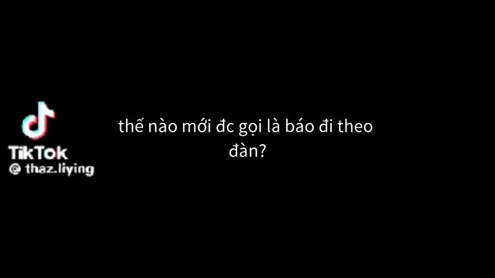 báo đi theo đàn ?