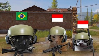 Gua indo bang 🤣